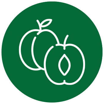 Greenergy Raw Balls - apricot icon