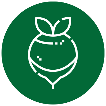 Greenergy Raw Balls - beetroot icon